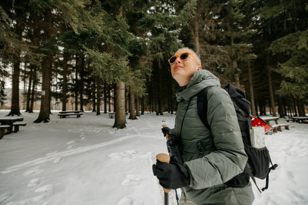 istock Hiking in winter mountain forest 2023061980