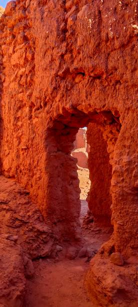 istock The red oasis Timimoun in Algeria 2023071569
