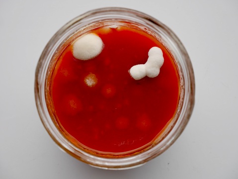 Tomato sauce in glass jar with mold. Aerial view.