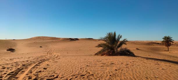 istock The red oasis Timimoun in Algeria 2023079503