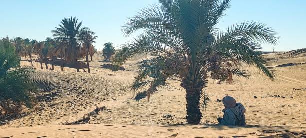 A man relaxes beneath the shade of a palm tree, gazing towards the expansive horizon , captured from the rear perspective in the sandy desert of Timimoun, Algeria