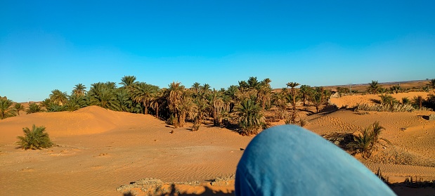 Merzouga, Morocco - October 28, 2022. Tuareg leading camels on sand dunes in the desert, Merzouga, Erg Chebbi sand dunes region, Sahara, Morocco.