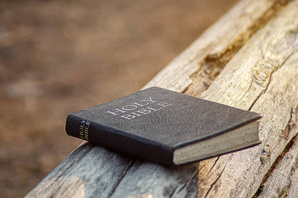 istock Person holding a Bible in the air 2023090147