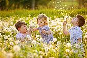 Two kids boys and little baby girl blowing on a dandelion flowers on the nature in the summer. Happy healthy toddler and school children with blowballs, having fun. Family of three love, together