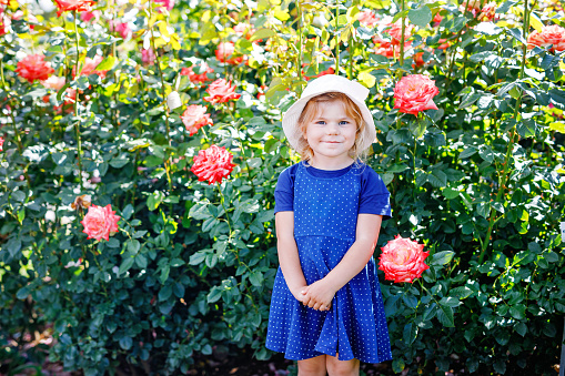 Portrait of little toddler girl in blossoming rose garden. Cute beautiful lovely child having fun with roses and flowers in a park on summer sunny day. Happy smiling baby