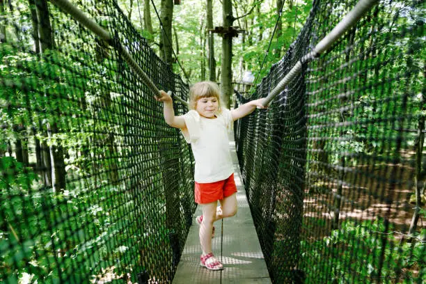 Cute little preschool girl walking on high tree-canopy trail with wooden walkway and ropeways on Hoherodskopf in Germany. Happy active child exploring treetop path. Funny activity for family outdoors.
