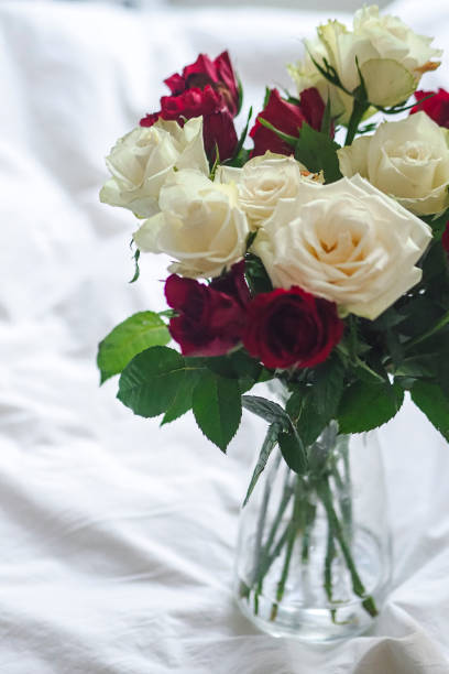 A vase filled with red and white roses on a bed