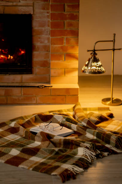 istock Relaxing with a book by the burning fireplace on a warm blanket 2023157748