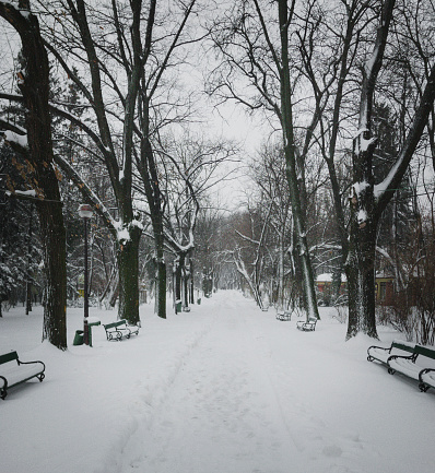 A tranquil scene unfolds in a snowy park, with benches and trees blanketed in white. Natures beauty at its finest, offering peace and serenity to all who visit.