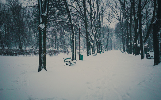 A lone bench sits gracefully in the center of a snow-covered park, surrounded by glistening white scenery. The park appears tranquil and serene, with no one in sight, showcasing the beauty of nature in winter.