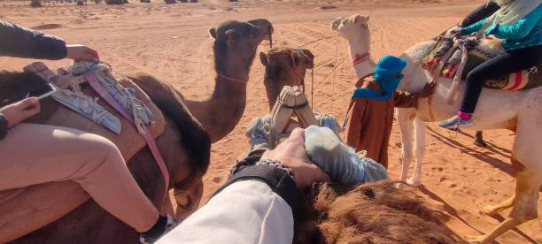 istock The red oasis Timimoun in Algeria 2023191355