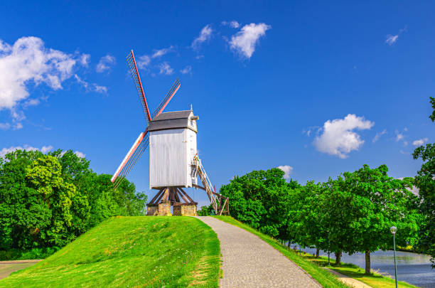 molino de viento antiguo tradicional en una colina verde cerca del río en la ciudad de brujas, cielo azul en un día de verano, típico molino de viento de madera blanca vintage con velas y camino en el parque con árboles verdes, región flamenca, bélgi - belgium bruges windmill europe fotografías e imágenes de stock