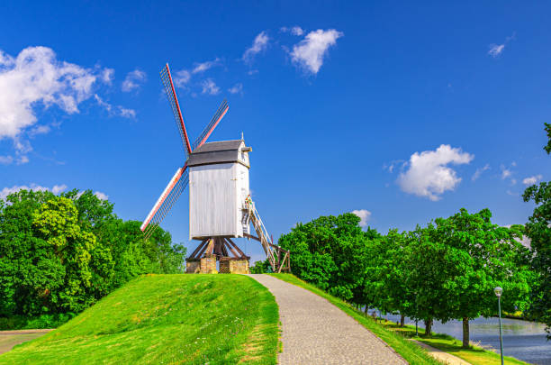традиционная старая ветряная мельница на зеленом холме у реки в городе брюгге, голубое небо в летний день, типичная винтажная белая деревян - belgium bruges windmill europe стоковые фото и изображения