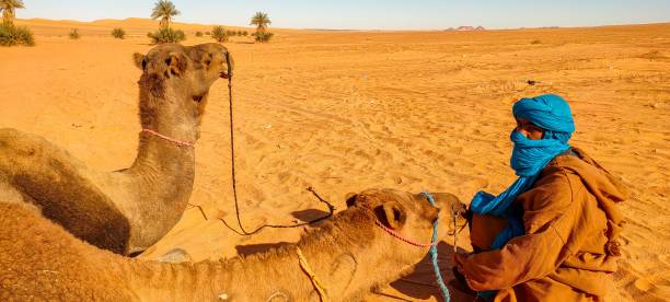 istock The red oasis Timimoun in Algeria 2023213331