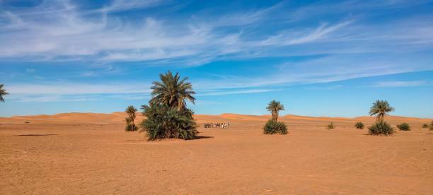 istock The red oasis Timimoun in Algeria 2023214379
