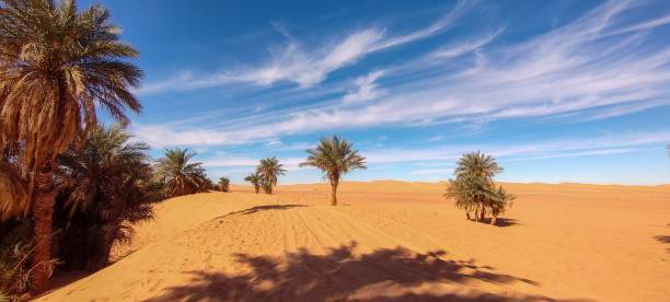 istock The red oasis Timimoun in Algeria 2023216454