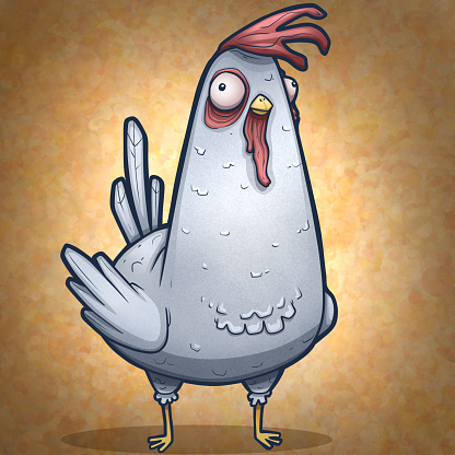 Funny looking googley eye chicken with white feathers on orange backgournd cartoon illustration