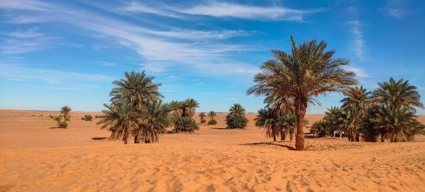 istock The red oasis Timimoun in Algeria 2023218036