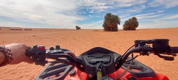 istock The red oasis Timimoun in Algeria 2023222906