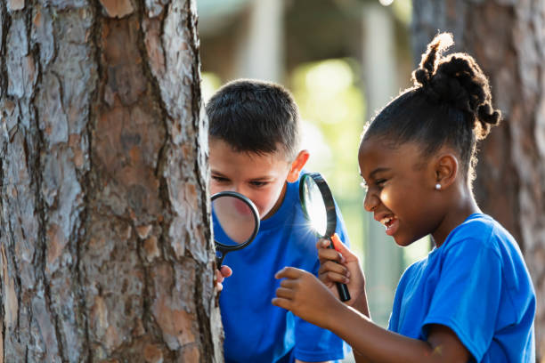 istock Children exploring nature with magnifying glass 2023230068