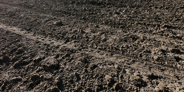 Muddy path after heavy rain in Epping Forest