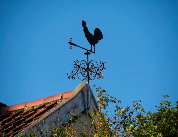 eiserne wetterfahne an einem alten gebäude - roof roof tile rooster weather vane stock-fotos und bilder