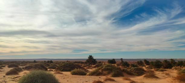 istock The red oasis Timimoun in Algeria 2023239400