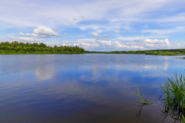 river in autumn, water with waves in the river in summer with green grass growing on the river bank