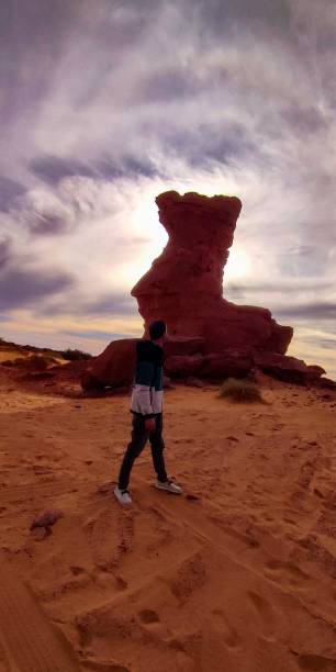 istock The red oasis Timimoun in Algeria 2023240193