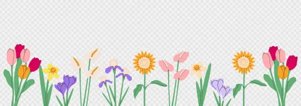 Vector illustration of Flower bouquet border.Spring and summer flowers, plants for decoration, blooming herbs isolated on transparent background.Hand drawn set.Vector illustration EPS 10