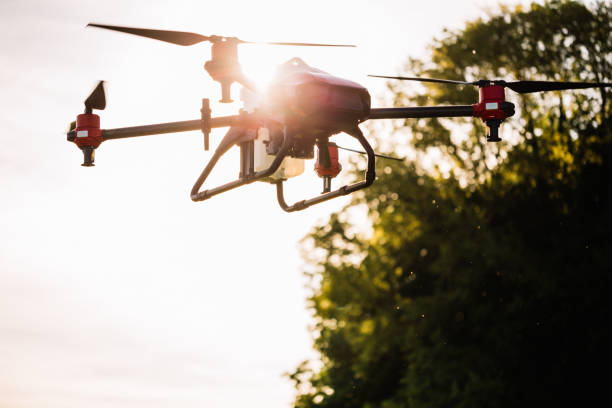 istock Agriculture drone on the green tea field. 2023247797