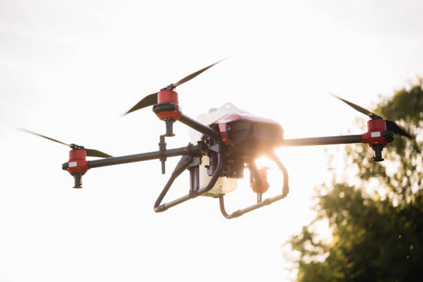 istock Agriculture drone fly to sprayed fertilizer on the sweet corn fields. 2023247801