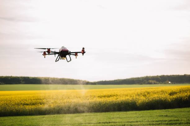 istock Agriculture drone fly to sprayed fertilizer on the green tea fields, Smart farm . 2023247802
