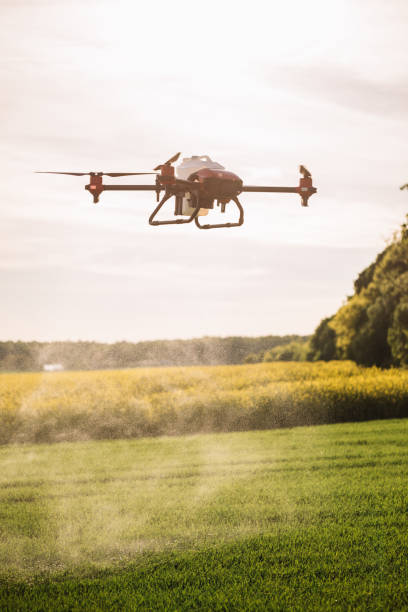 istock Agriculture drone fly to sprayed fertilizer on the green tea fields, Smart farm. 2023247826