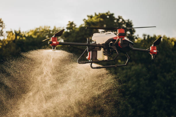 istock Agriculture drone fly to sprayed fertilizer on the sweet corn fields. 2023248304