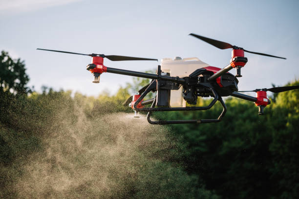 istock Agriculture drone fly to sprayed fertilizer on the sweet corn fields. 2023248306