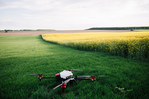 Flying agriculture drone with copy space