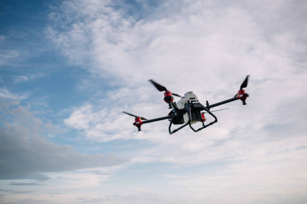 istock Agriculture drone fly to sprayed fertilizer on the sweet corn fields. 2023248309