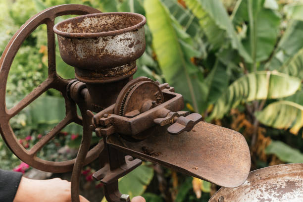 Coffee beans ready to be ground in a grinding machine.