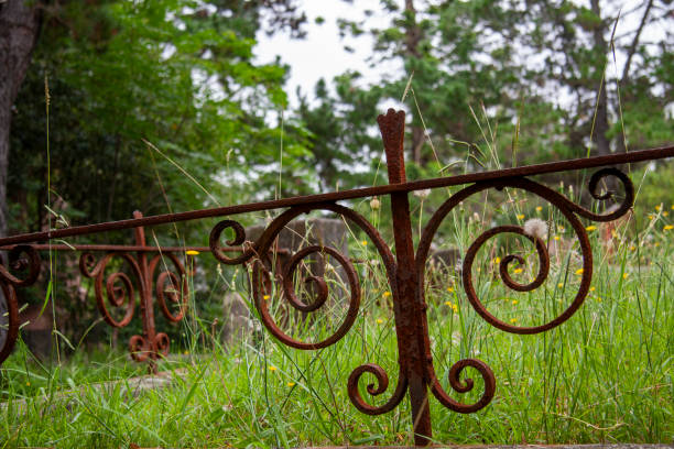 istock Rookwood Necropolis, Sydney, NSW, Australia 2023283302