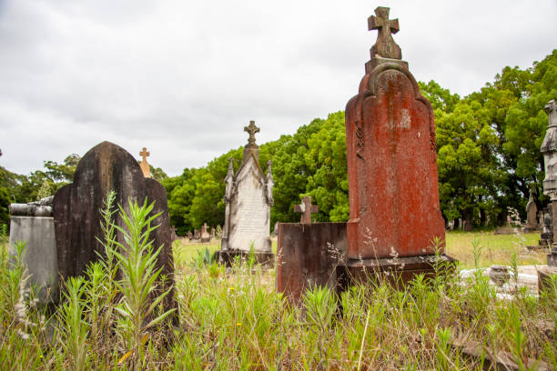 istock Rookwood Necropolis, Sydney, NSW, Australia 2023285960