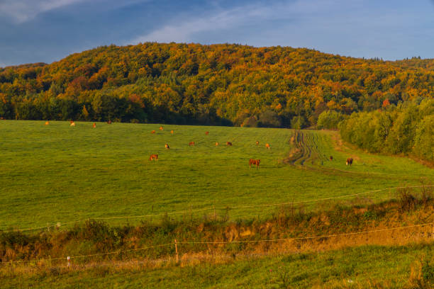 Carpathian mountains landscape, Eastern Slovakia