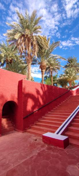 istock The red oasis Timimoun in Algeria 2023287558