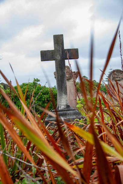 istock Rookwood Necropolis, Sydney, NSW, Australia 2023287564