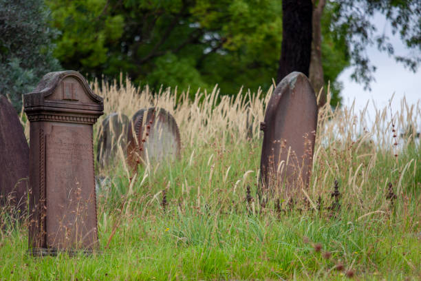Dublin, Ireland - September 23, 2018: Ancient gravestones on lush grass in a historic cemetery, Sept 23, 2018.