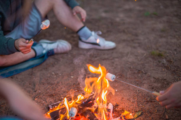 istock Close up of people frying marshmallow over camp fire 2023290201