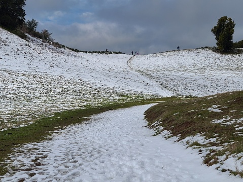 A cold winter storm brought several inches of snow to the top of the hills in Las Trampas Wilderness near Danville, California