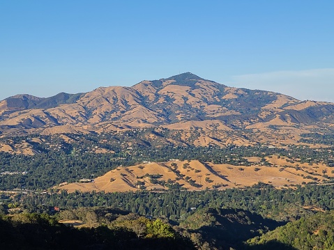View of Mt Diablo after the winter rains bring greenery and wildflowers on the hills