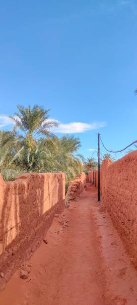 istock The red oasis Timimoun in Algeria 2023306934