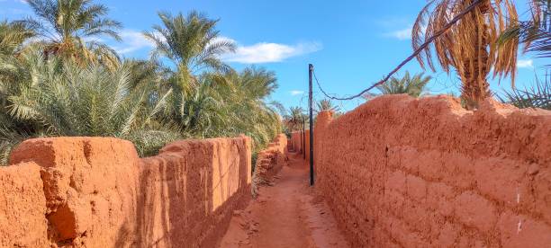 istock The red oasis Timimoun in Algeria 2023307457